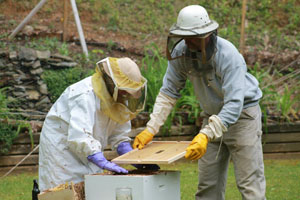 Beekeepers