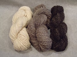 Spinning by Susan Graham